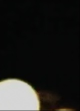 Guest_lilybesosillyyyyy