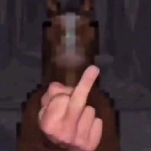 Guest_CaioCosh