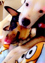 Guest_Marissarose2