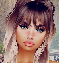 Avatar Bild