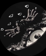 immagine avatar