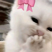 Guest_Desiiii8