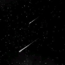 Ocelatethestar00