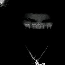 Guest_Flaco176136