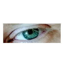 Guest_Ralox1