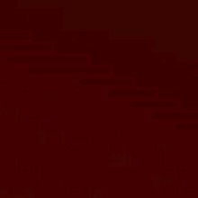 Guest_Lia883815