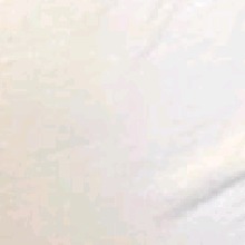 Guest_wfwkinn