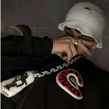 Guest_Scxtt22