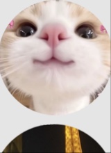 Guest_danielaaaaaaa