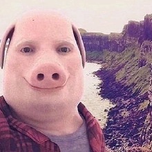 Guest_Hudsonnn