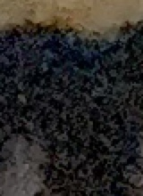 Guest_cnix22