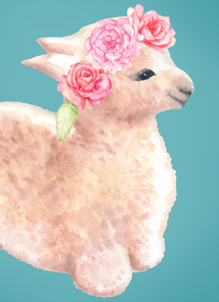 Guest_AnotherLlama