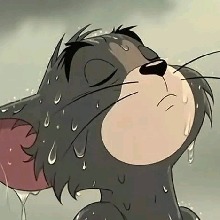 Guest_RaposaPretta69