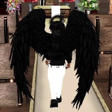Guest_CedricCoFounderHFD1