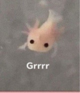 Guest_blehbleh3