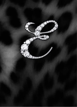 Guest_Evie9942