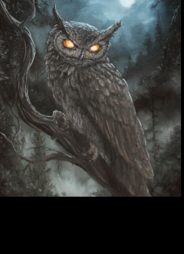 Guest_Nocturnalexe