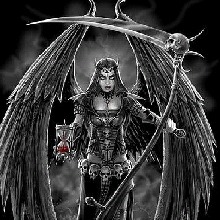 HarmonyBlakeHellWolf