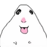 Guest_aeserias