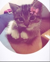 Guest_kitty482164