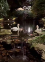 Guest_Prettibambi