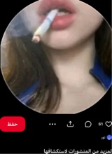 Guest_Ty8907