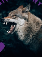 Guest_leeknation
