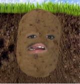 avatar picture