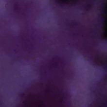Guest_Muequita