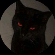 Guest_xKissHerDesire