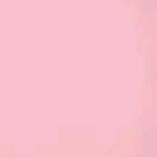 Guest_MiguelJoelFlorentinM