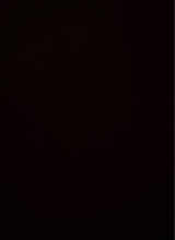 immagine avatar