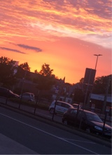 Guest_Angi45