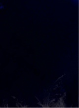 Guest_Raelynn38