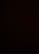 immagine avatar