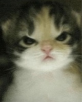 NXHL