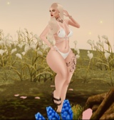 Guest_BrunaMacedo4