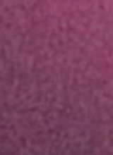 Guest_sg491