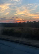 Guest_Makayla592830