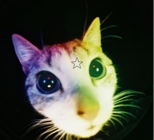 Guest_luhshordy13