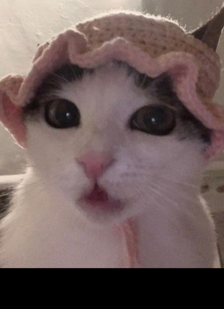 Guest_luhshordy13