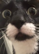 Guest_leanna320