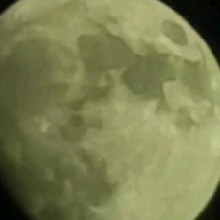 Guest_Sahar49