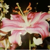 Guest_denisse2002