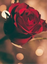 Guest_GothicKateBloodyRose