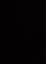 Guest_11d0m