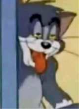 Gofy
