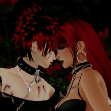 Guest_Tina905867