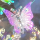 Guest_jade12702