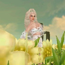 Guest_LL861871
